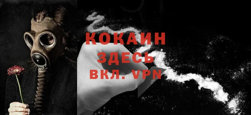 где купить наркоту  Лукоянов  Cocaine Боливия 