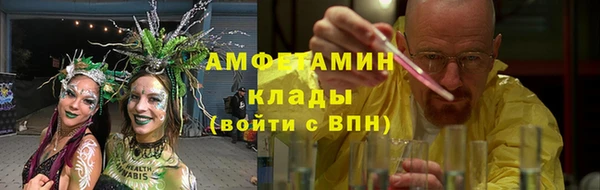 ПСИЛОЦИБИНОВЫЕ ГРИБЫ Пересвет