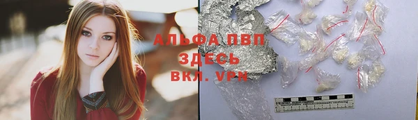 ПСИЛОЦИБИНОВЫЕ ГРИБЫ Пересвет