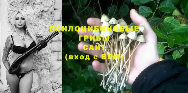 ПСИЛОЦИБИНОВЫЕ ГРИБЫ Пересвет