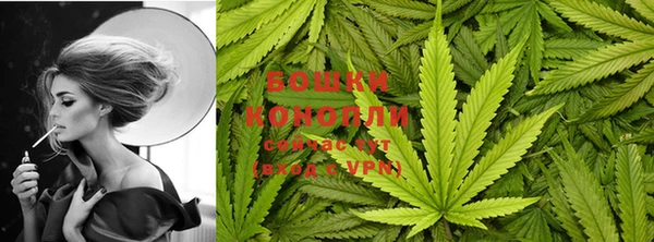 ПСИЛОЦИБИНОВЫЕ ГРИБЫ Пересвет